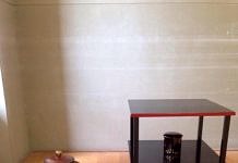 Exchange 手記──名古屋大學大小事之二